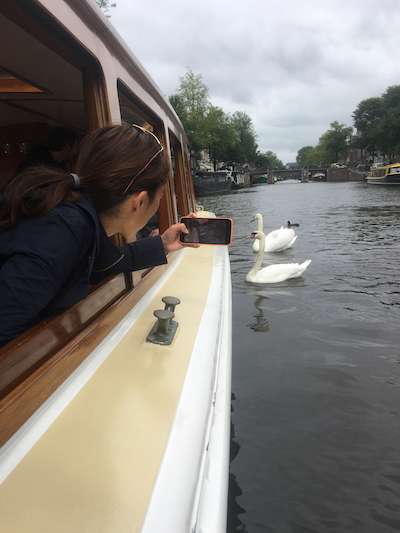 Amsterdam Early Morning Canal Cruise - the swans